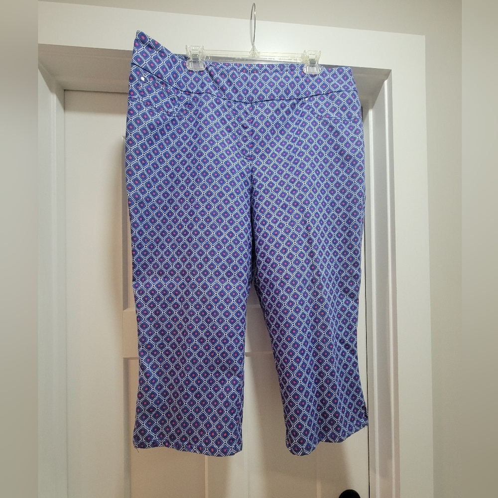 Blue, White And Pink Patterned Capri Pants
